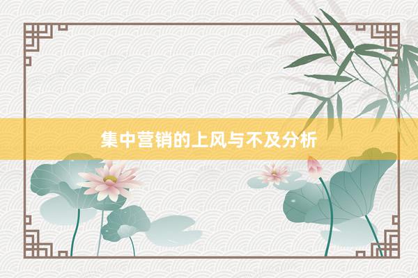 集中营销的上风与不及分析